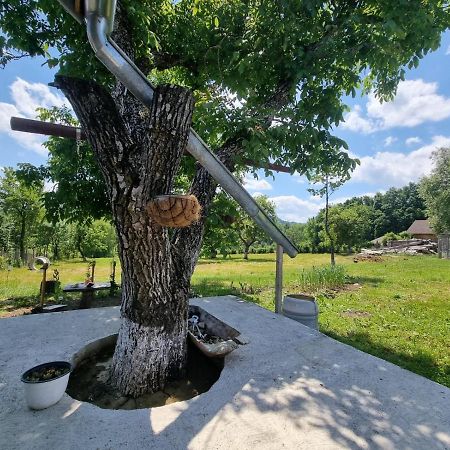 Casa Primitoare In Inima Naturii Si Padurii Rasca  Zewnętrze zdjęcie