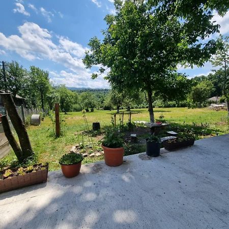 Casa Primitoare In Inima Naturii Si Padurii Rasca  Zewnętrze zdjęcie