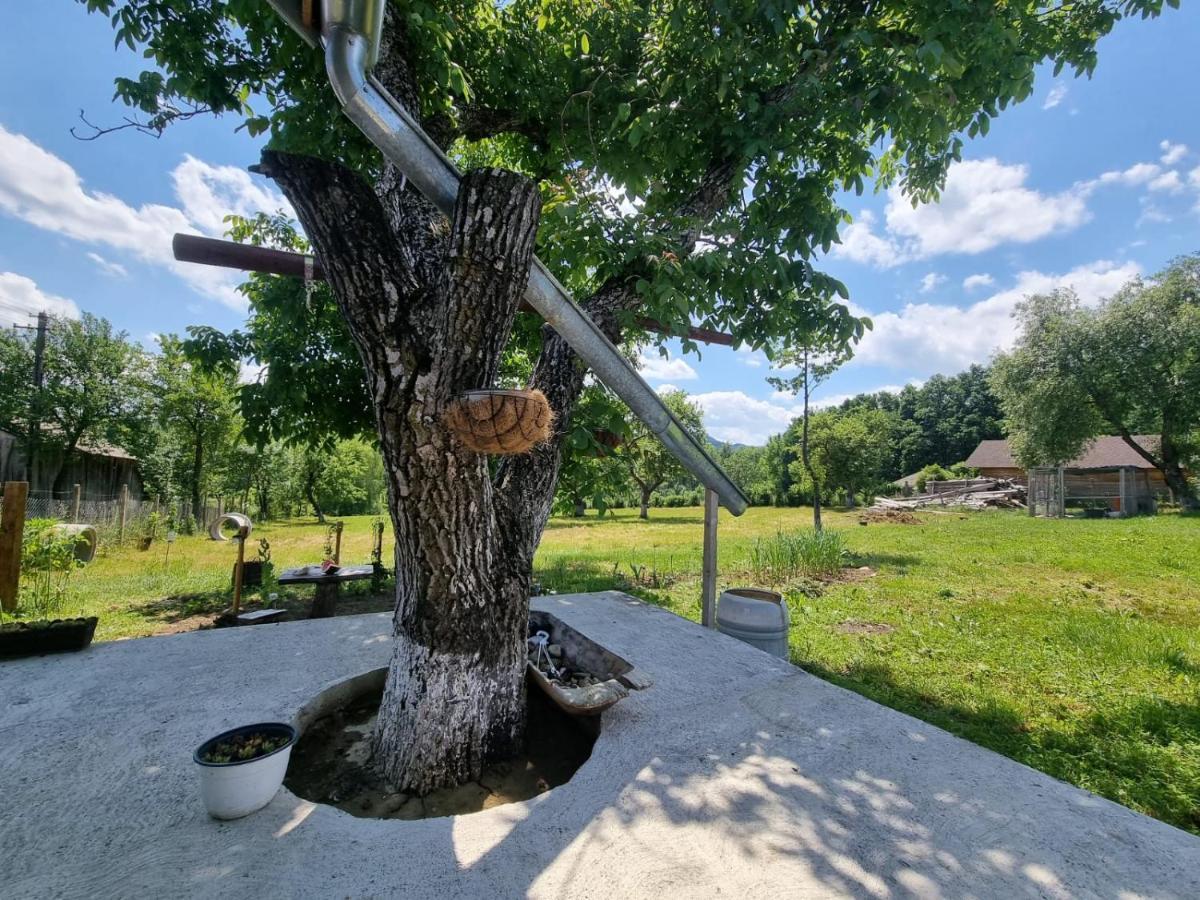Casa Primitoare In Inima Naturii Si Padurii Rasca  Zewnętrze zdjęcie