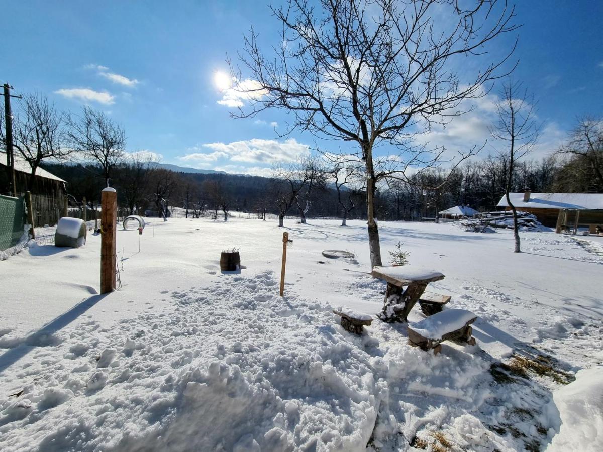 Casa Primitoare In Inima Naturii Si Padurii Rasca  Zewnętrze zdjęcie